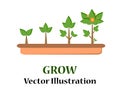 Infographic of planting tree. Seedling gardening plant. Royalty Free Stock Photo