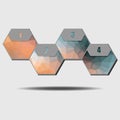 Infographic poligonal elements, 4 hexagons