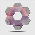 Infographic poligonal elements, 6 hexagons