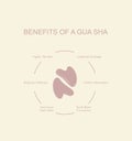Infographic poster of benefits of a gua sha facial massage.