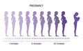 Infographic of pregnant woman in different period