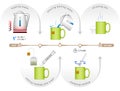 Infographic for process of brewing teabag