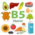 Infographic set of vitamin B5 and useful products avocado, cauliflower, egg, bean, corn, milk, fig, mushroom. Healthy