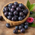 AÃÂ§aÃÂ­ Berry Nutrition: Health-Boosting Benefits of Euterpe Edulis in a Clear Infographic Royalty Free Stock Photo