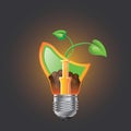 Infographic template. Eco Bulb, Light, leaf, icon. Royalty Free Stock Photo