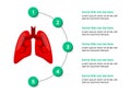 Infographic template. Lungs with 5 circles, icons and text