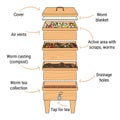 Infographic of vermicomposting. Components of vermicomposter. Vermicomposter schematic design. Worm composting. Recycling organic