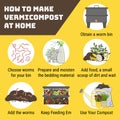 Infographic of vermicomposting. How to make vermicompost at home. Worm composting. Recycling organic waste, vermicomposter.