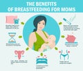 Infographics The Advantages and Disadvantages of breastfeeding