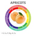 Infographics about the beneficial properties and nutrients in apricots