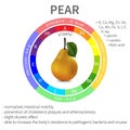 Infographics about the beneficial properties and nutrients in pear, protein, fats, carbohydrates, vitamins and minerals. Delicious