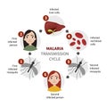 Malaria infographic