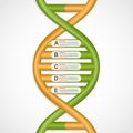 Infographics in the DNA helix form.