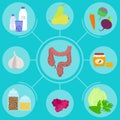 Infographics of food for helpful for healthy colon.