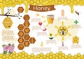 Infographics of honey and bees. Vector graphics Royalty Free Stock Photo