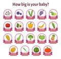 Infographics how big is your baby?