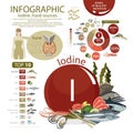 Infographics of the content of iodine in natural organic food products Royalty Free Stock Photo
