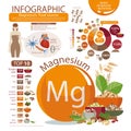 Infographics of magnesium content in natural organic food Royalty Free Stock Photo