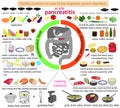 Infographics nutrition in case of pancreatitis.