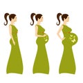 Infographics of pregnancy stages. Cute illustration of a beautiful pregnant woman. Pregnancy stages.