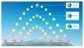 Infographics for summer solstice, autumnal spring equinox Northern Hemisphere.