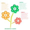 Infographics Technical flower background option steps