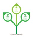 Infographics or timeline with 3 options. Vector Stylized tree with leafs. Development of the eco business or green technology. The Royalty Free Stock Photo