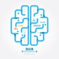Infographics vector blue paper brain design diagram line style t