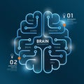 Infographics vector brain design diagram banner line style. Royalty Free Stock Photo