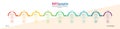 Infographics. Vector template of nine stages. For web page design, charts, graphs, business plan and Finance, reporting and visual