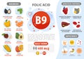 Infographics Vitamin B9.