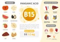 Infographics Vitamin B15.