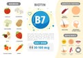 Infographics Vitamin B7.