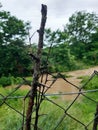 Private property garden spiky fence inforcement