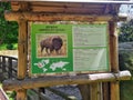 Information of american bison on info board in zoo