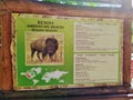 Information of american bison on info board in zoo