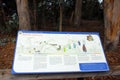 Monarch Butterfly Grove, Pismo Beach, California