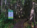 Information board at the trailhead of Rainforest Trail, Vancouver Island in dense forest with old trees.