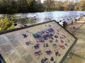 Information board on type of waterfowl in lake