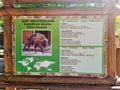 Information of european bison on info board in zoo