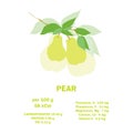 Information about nutrition facts pear fruit. Vitamins, minerals and calorie content. Conceptual healthy nutrition card Royalty Free Stock Photo