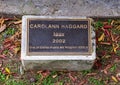 Information plaque for `Iggy`, a colorful mosaic Iguana by Carolann Haggard located in Grauwyler Park in Dallas, Texas. Royalty Free Stock Photo