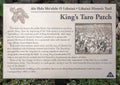 Information plaque for taro plants in a bed lined with lava stones in front of the Lahaina Public Library, Maui, Hawaii.