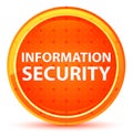 Information Security Natural Orange Round Button Royalty Free Stock Photo