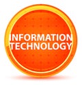 Information Technology Natural Orange Round Button Royalty Free Stock Photo