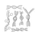 Informational set dna helix sketch hand drawn