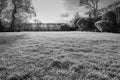 Infra-red view of a large garden and lawn showing delicate grass detail.