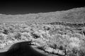 Sonora Desert Arizona Road n Infrared Royalty Free Stock Photo