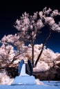 Infrared Bridge Over Water in a Park Royalty Free Stock Photo