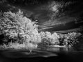 Infrared, fine art photograph of a pond with water fountains